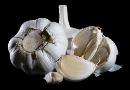 garlic