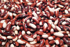 pinto beans pms