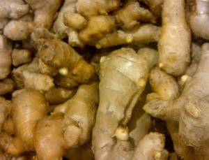 ginger root