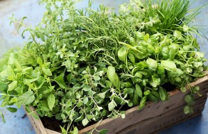 mixed herbs