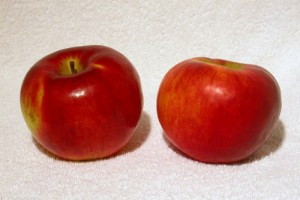 Apples