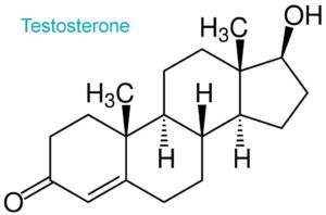 testosterone molecule