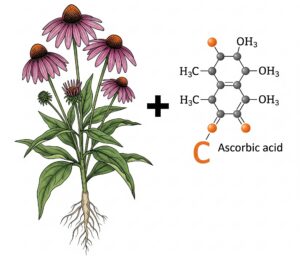 Vitamin C + Echinacea Root