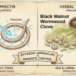 Ivermectin vs herbs to remove parasites