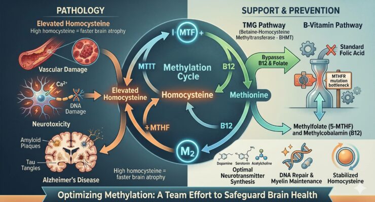 Methylation, Homocysteine and brand health!