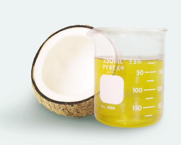 The Natural Energy-Boosting Power of Diatomaceous Earth and Coconut Oil