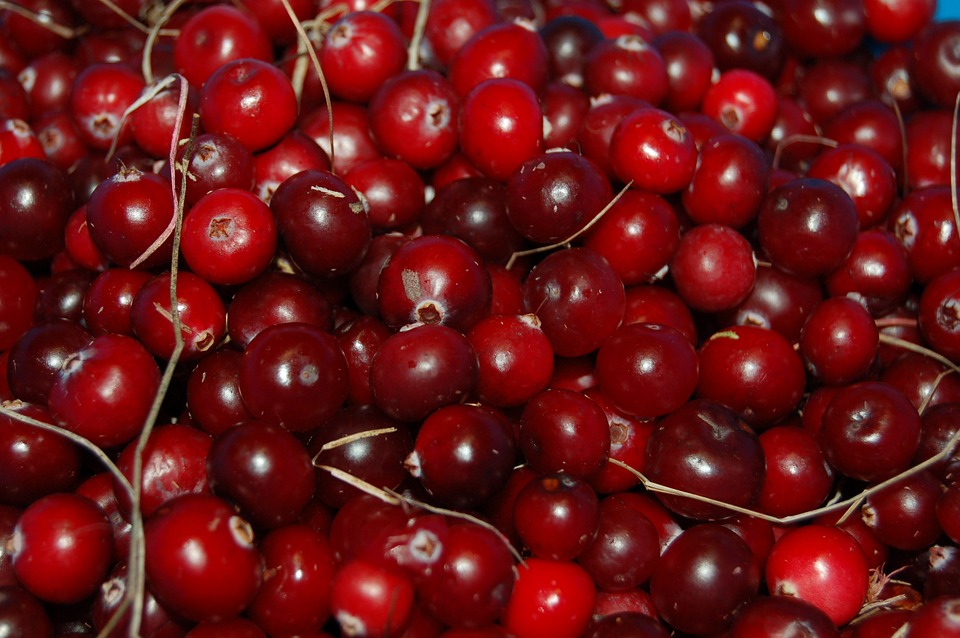 Cranberry Extract Helps with Bladder Infection