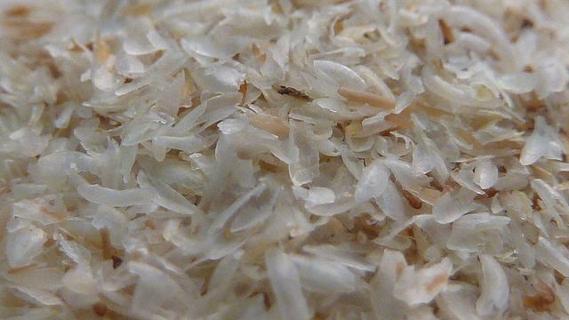 Psyllium and how it is useful for your bowel movement