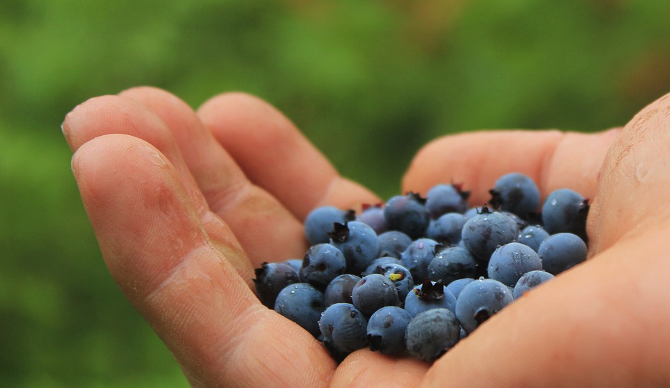 Antioxidants Can Be Quite Important For Your State Of Health