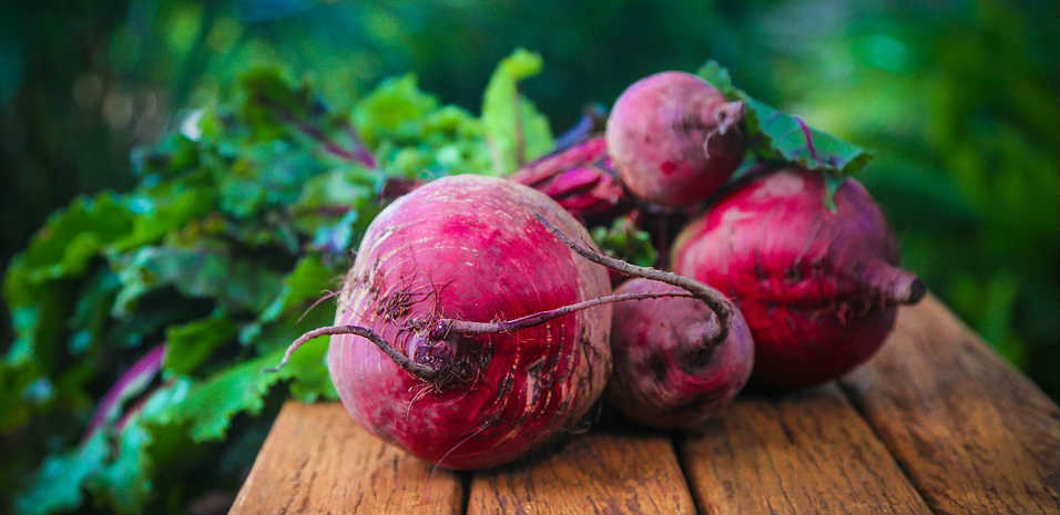 beetroot